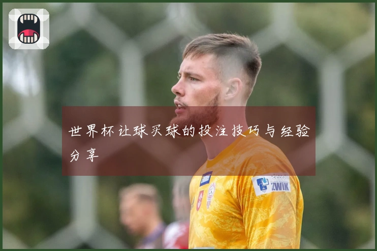 世界杯让球买球的投注技巧与经验分享