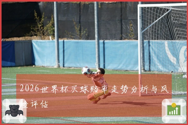 2026世界杯买球赔率走势分析与风险评估