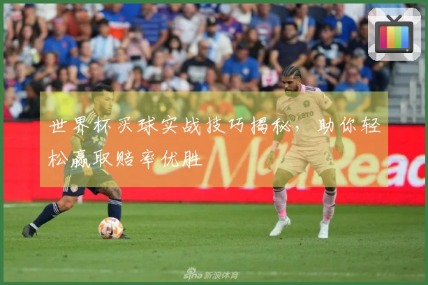 世界杯买球实战技巧揭秘，助你轻松赢取赔率优胜