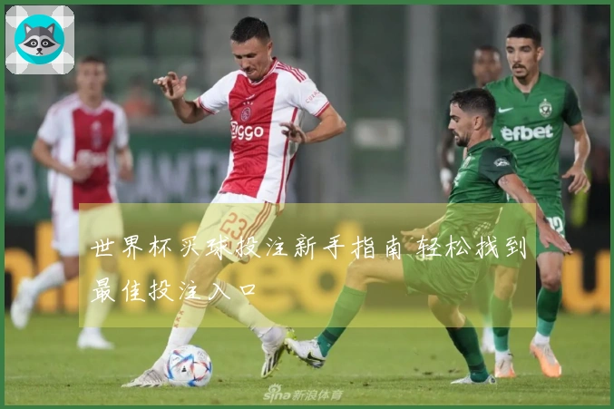 世界杯买球投注新手指南 轻松找到最佳投注入口