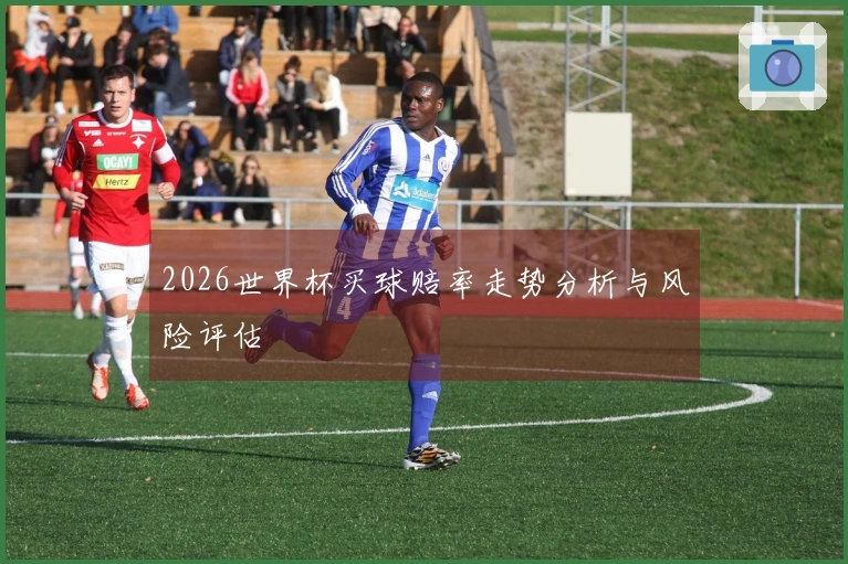2026世界杯买球赔率走势分析与风险评估