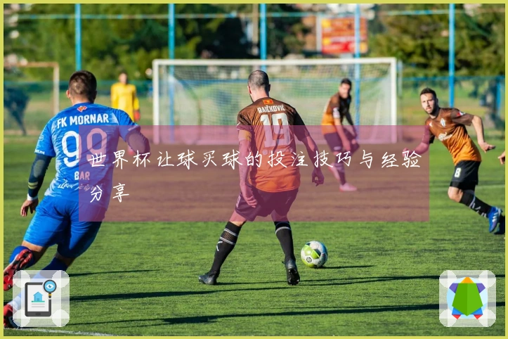 世界杯让球买球的投注技巧与经验分享