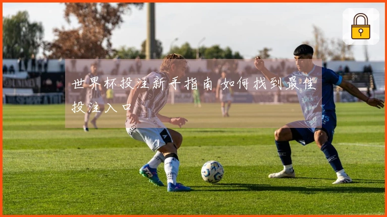 世界杯投注新手指南 如何找到最佳投注入口